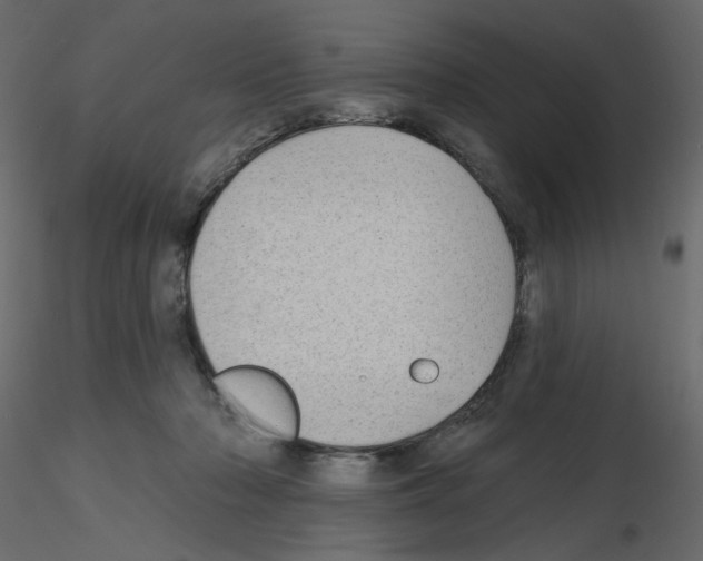 X0000115690318200912241507