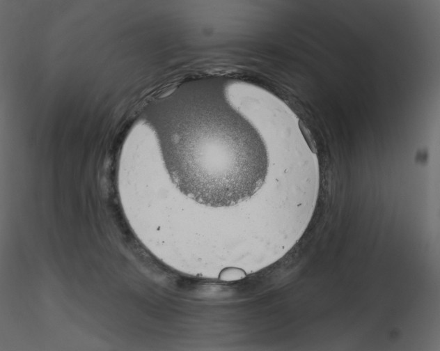 X0000115690319200912241507