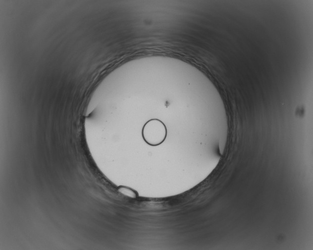 X0000115690320200912241507