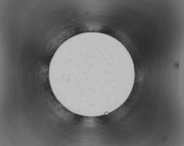 X0000115690321200912241507