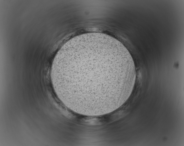X0000115690322200912241507