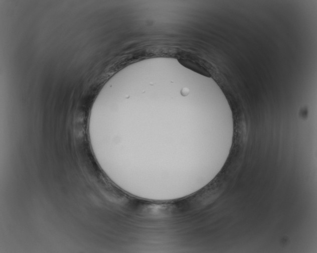 X0000115690323200912241507