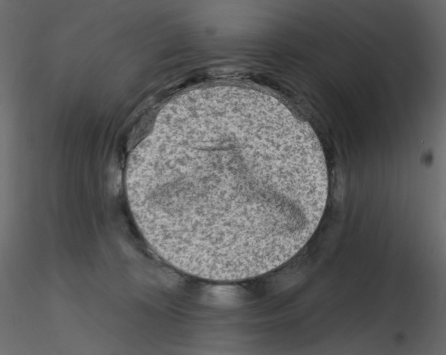X0000115690324200912241507