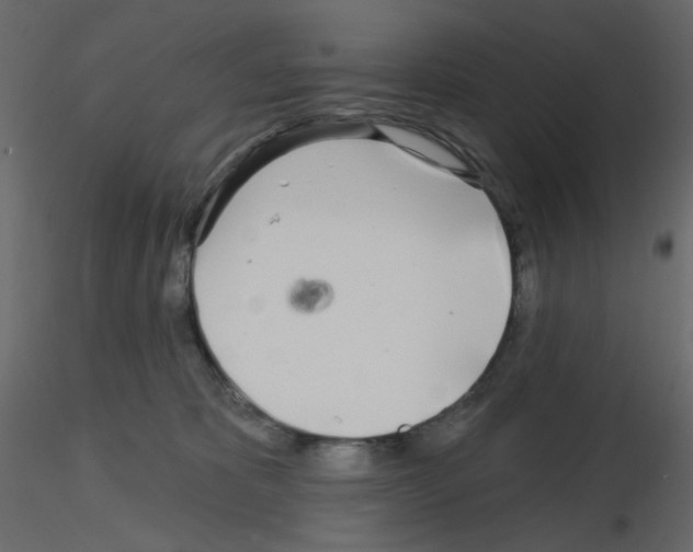 X0000115690325200912241507