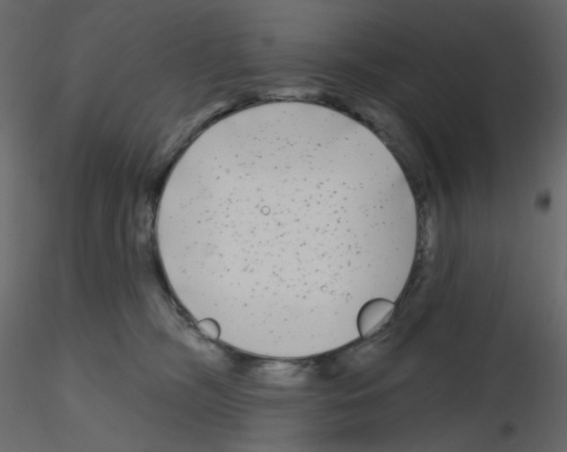 X0000115690326200912241507