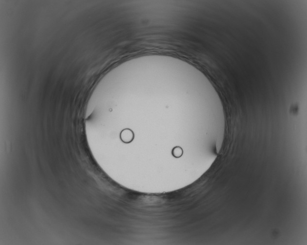 X0000115690327200912241507