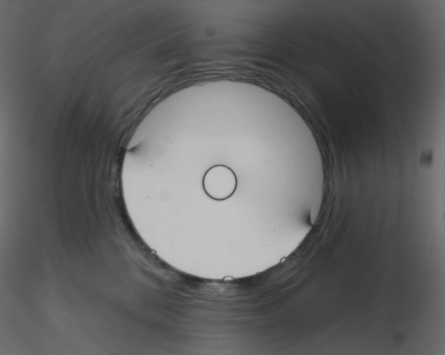 X0000115690328200912241507