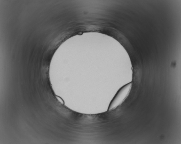 X0000115690329200912241507