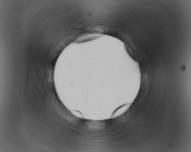 X0000115690331200912241507