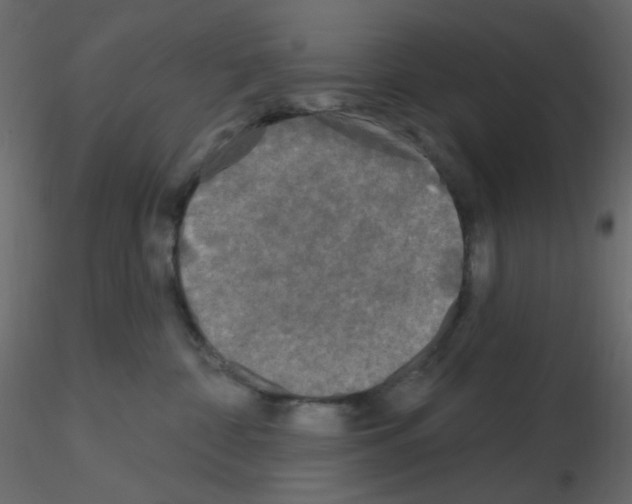 X0000115690332200912241507