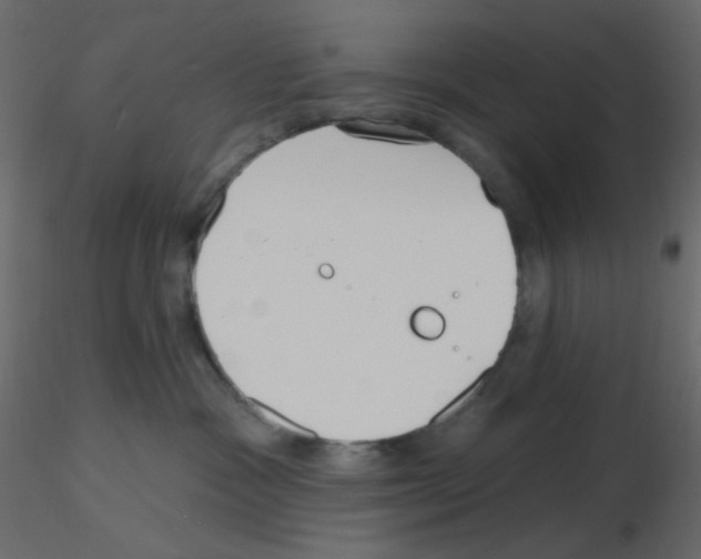 X0000115690333200912241507