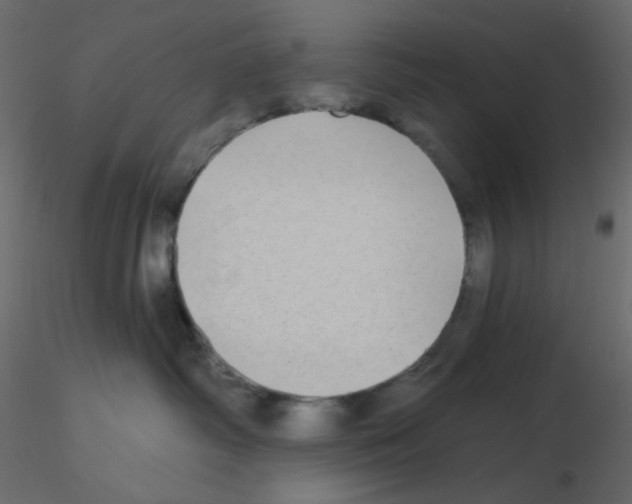 X0000115690334200912241507