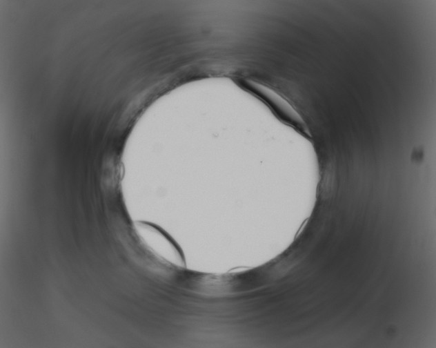 X0000115690335200912241507