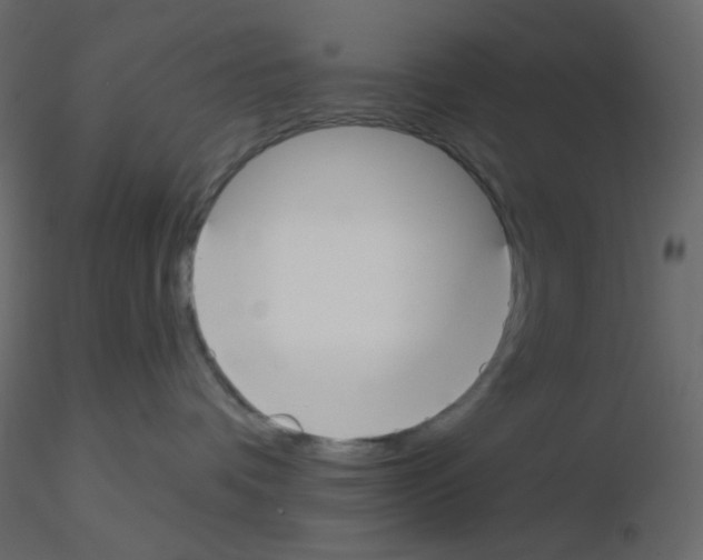X0000115690336200912241507