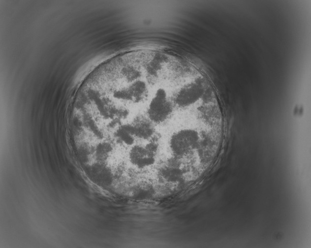 X0000115690337200912241506
