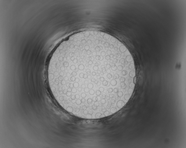 X0000115690338200912241506