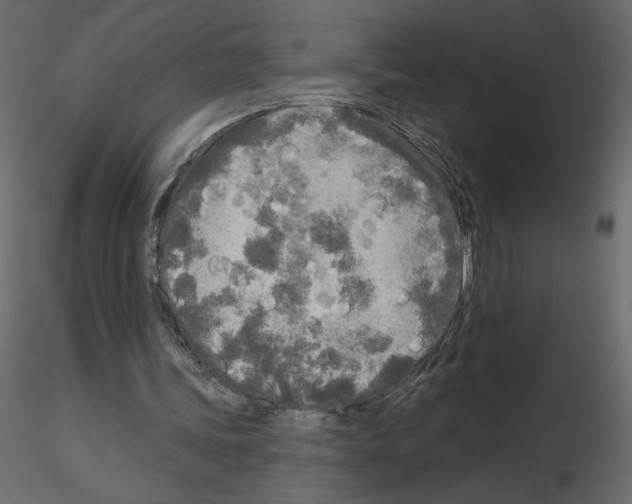 X0000115690339200912241506