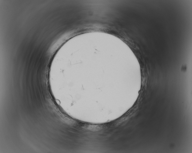 X0000115690341200912241506