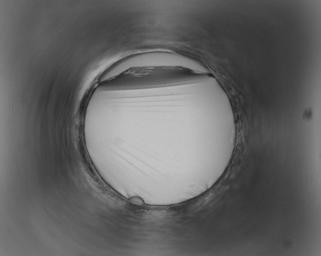 X0000115690342200912241506
