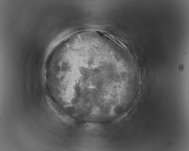 X0000115690343200912241506