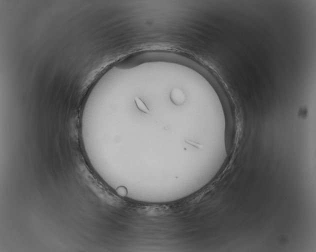 X0000115690345200912241506