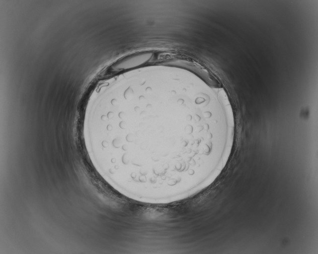 X0000115690346200912241506