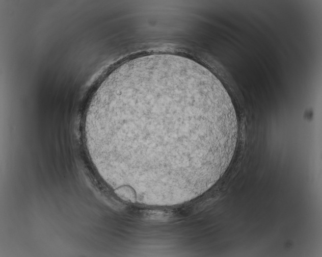 X0000115690347200912241506