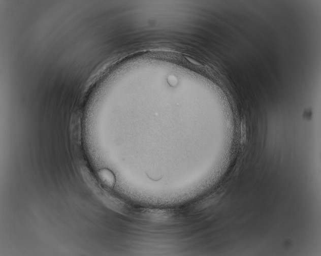 X0000115690349200912241506