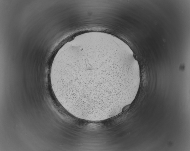 X0000115690350200912241506