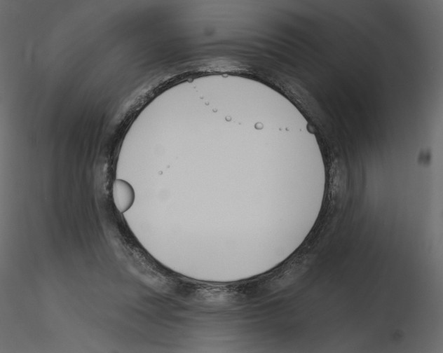 X0000115690351200912241506