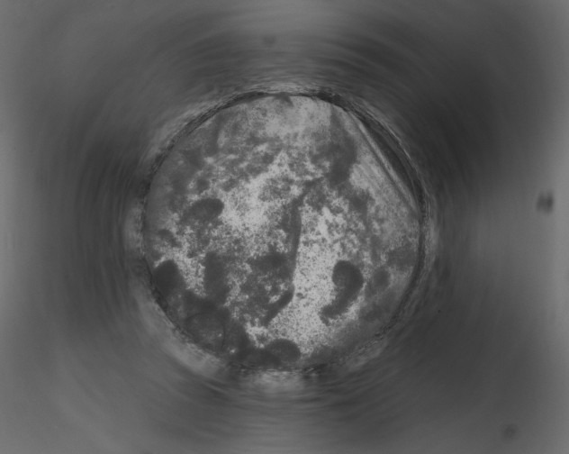X0000115690353200912241506