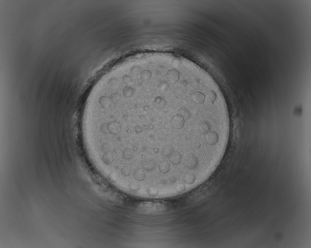 X0000115690354200912241506