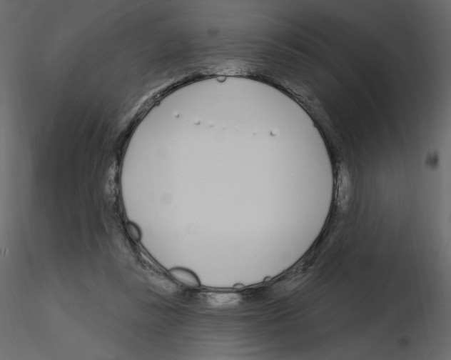 X0000115690355200912241506