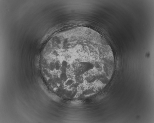 X0000115690357200912241506