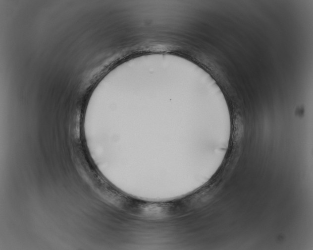 X0000115690358200912241506