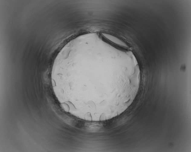 X0000115690359200912241506