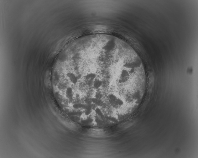X0000115690361200912241506
