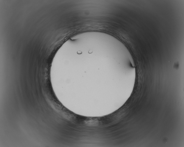 X0000115690362200912241506