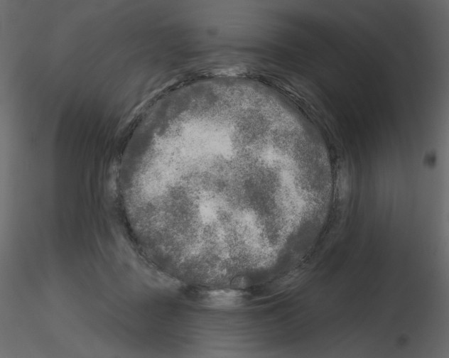 X0000115690363200912241506