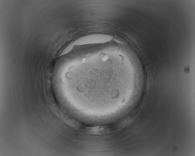 X0000115690366200912241507