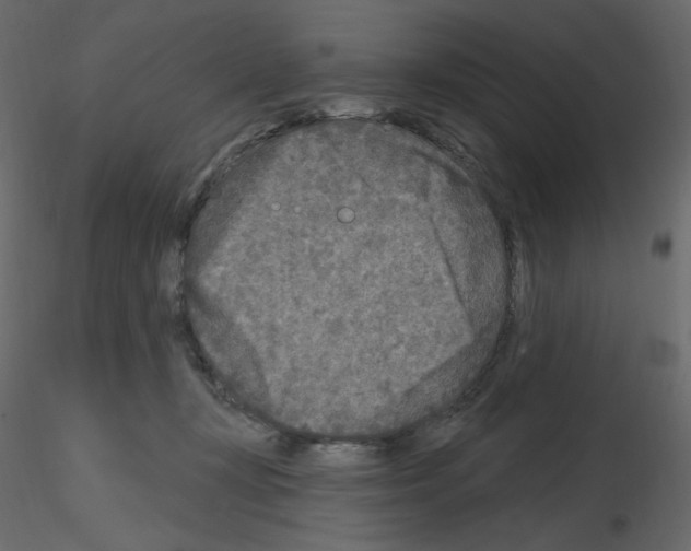 X0000115690367200912241507