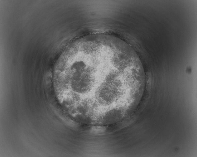 X0000115690369200912241507