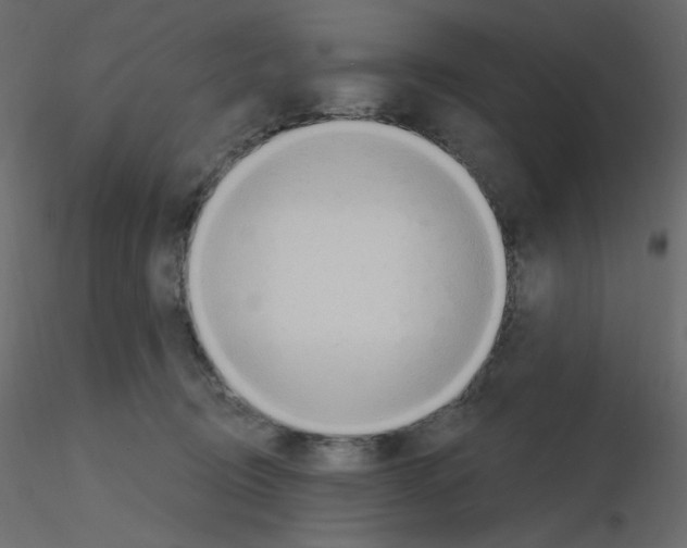 X0000115690370200912241507