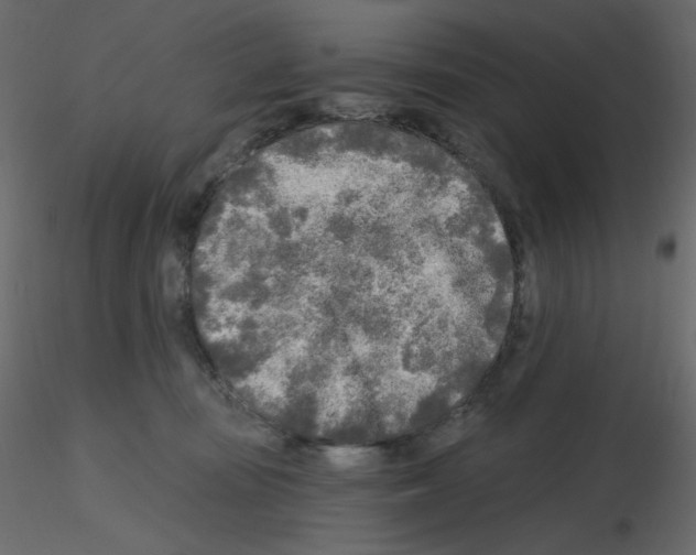 X0000115690371200912241507
