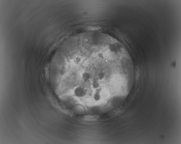 X0000115690373200912241507