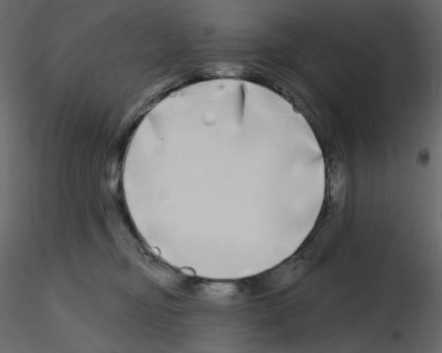 X0000115690374200912241507