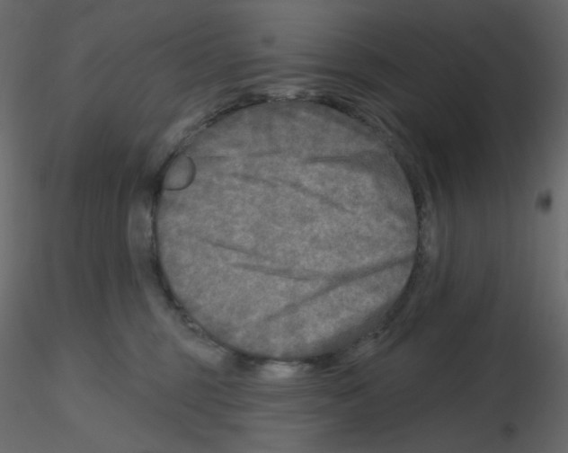 X0000115690375200912241507