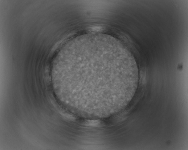 X0000115690377200912241507