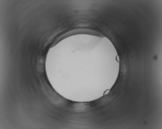 X0000115690378200912241507