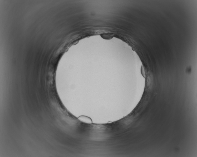 X0000115690379200912241507